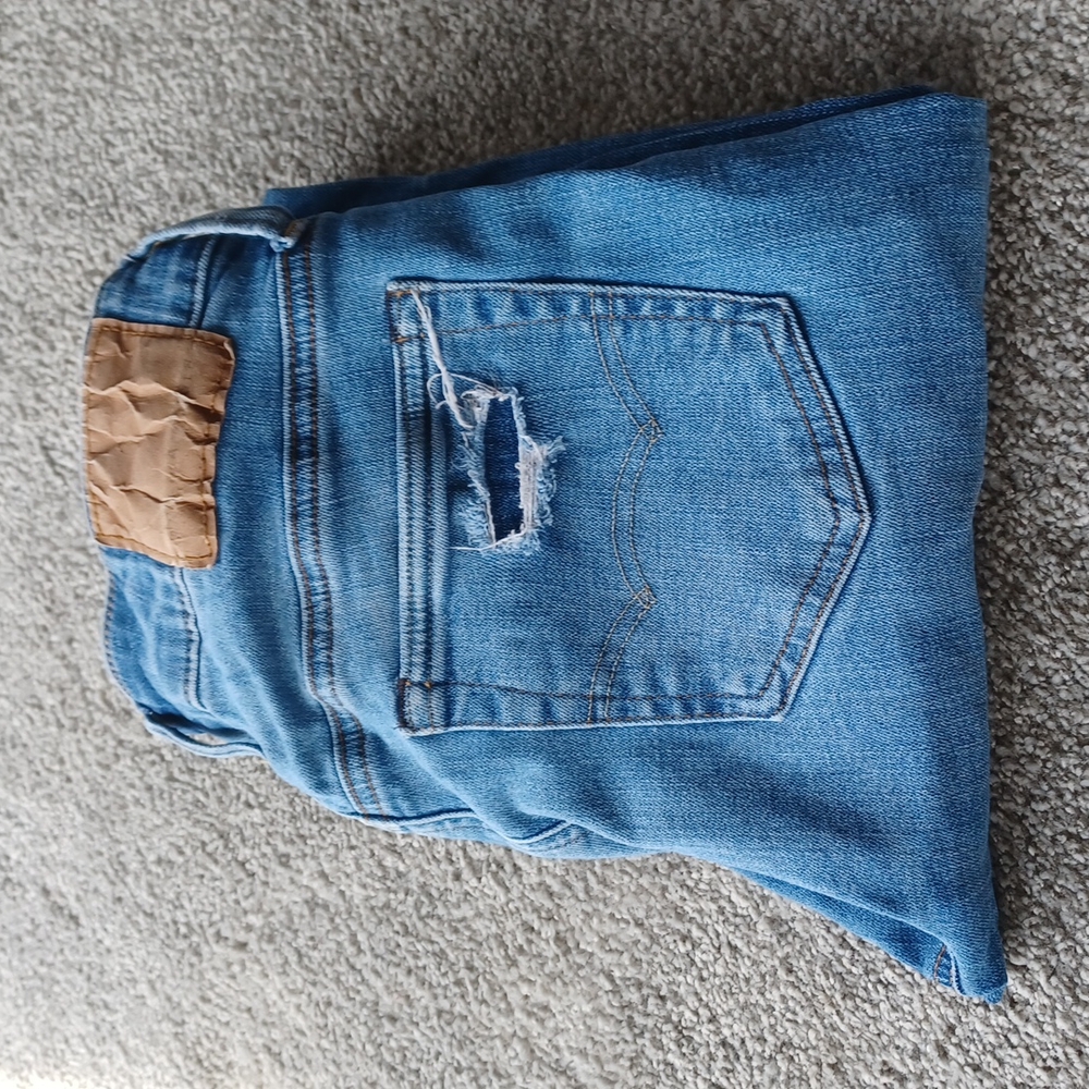 American Eagle Men's 30x32
